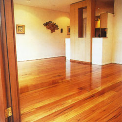 Amaze floor sanding & polishing - Photo Gallery